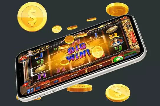 limo55